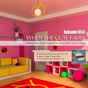 EP53 - April 7, 2018: Cleaning Garbage Bins, Painting Over Bright Colors, Must-Have Paint Tools, Vinyl Replacement Windows 101