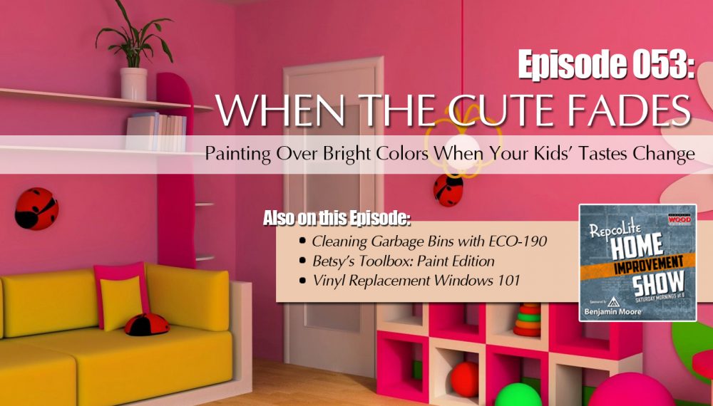 Ep53 April 7 2018 Cleaning Garbage Bins Painting Over Bright Today S Show Starts With An Introduction To A Remarkably Unique Service Eco 190 Degrees Will Clean Out Your Garbage Bins On Regular Basis