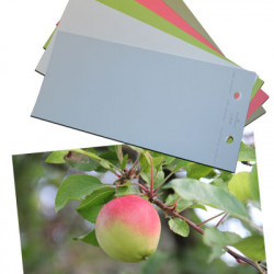 Benjamin Moore Colors (top to bottom): 2144-30, 2007-40, 2029-40, 2129-70, 2129-60