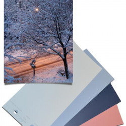 Benjamin Moore Colors (top to bottom): OC-61, 2128-50, HC-155, 2091-50